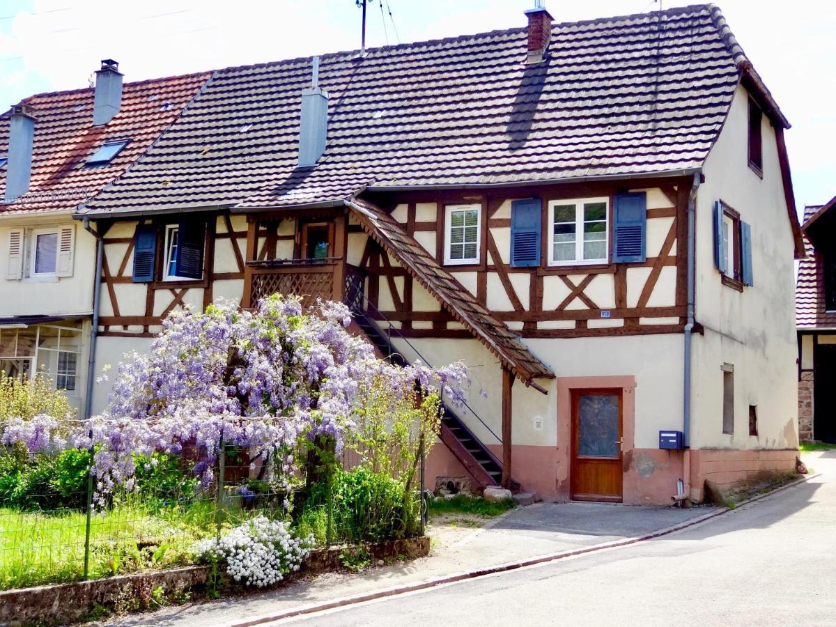 La Couette Enchantee - Parking - Zimmerbach 외부 사진